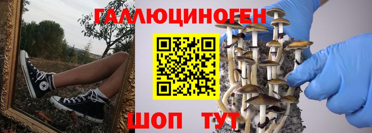 Галлюциногенные грибы Magic Shrooms Протвино