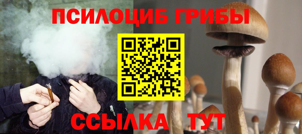 Псилоцибиновые грибы Psilocybe  Вход с VPN  Галлюциногенные грибы GOLDEN TEACHER  Протвино 