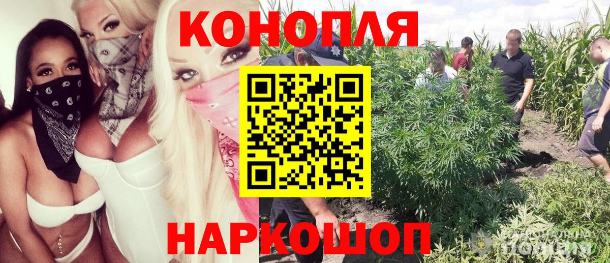 Конопля марихуана  Вход с VPN  Протвино  Каннабис конопля  Бошки марихуана индика 